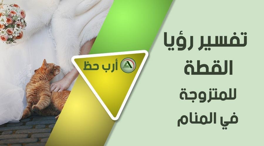 cat in dream married - تفسير حلم خروج قطة من الحمام: أسرارٌ مُخبأة؟