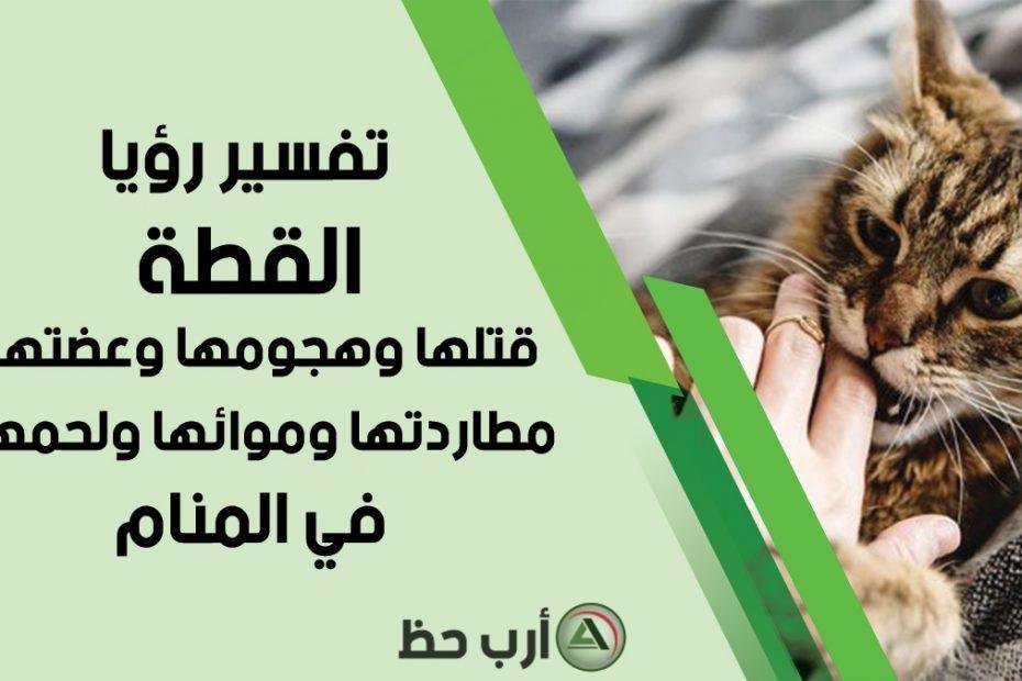cat killing bite 930x620 - تفسير حلم هجوم قطة سوداء: أسرار من وراء الظلام