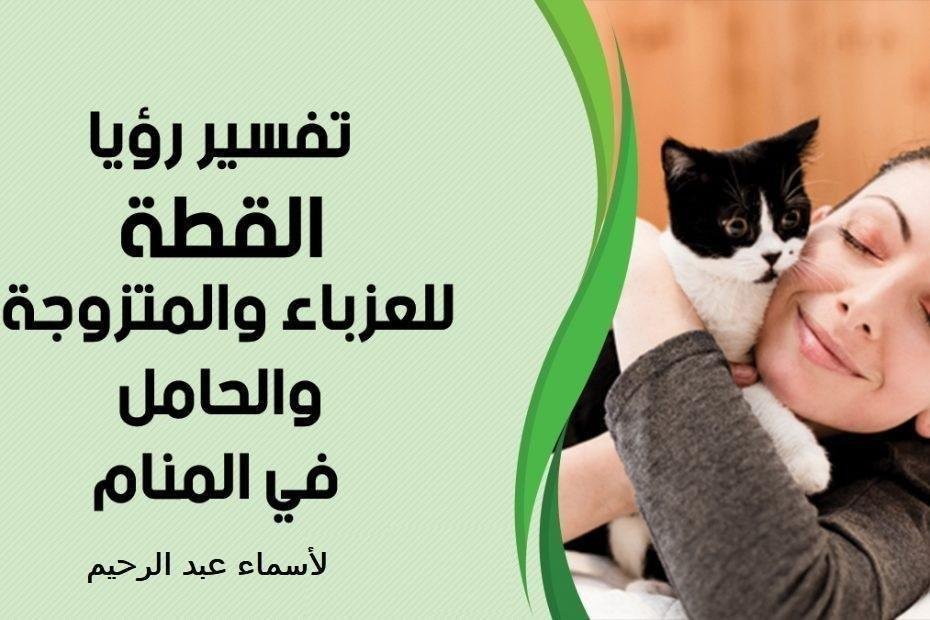 cat woman 930x620 1.jpg665053b359185 - تفسير حلم قطة حنونة للعزباء: دلالات ورموز خفية
