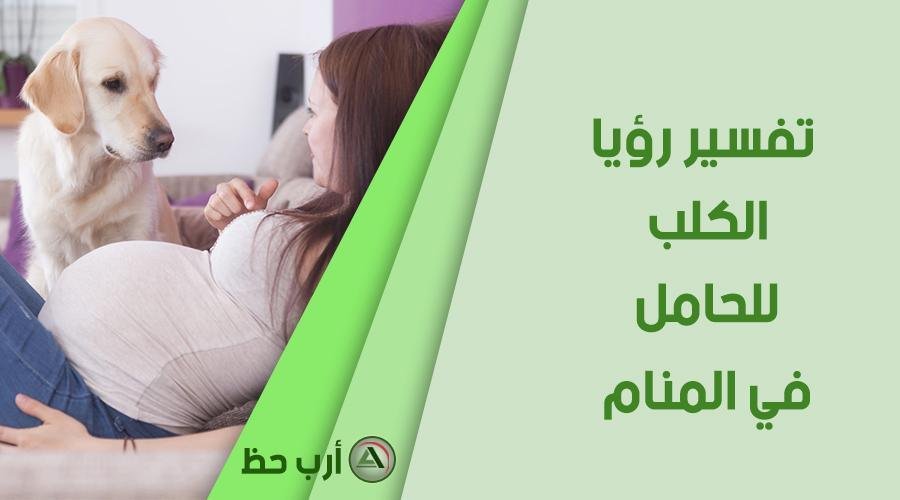 dog in dream pregnant - تفسير حلم كلب يحبني للعزباء: رمز ود أم خطر؟