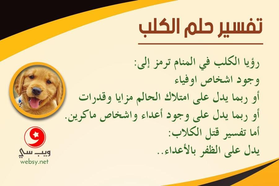 dream dog - تفسير حلم كلب في منزل العزباء: رموز ودلالات