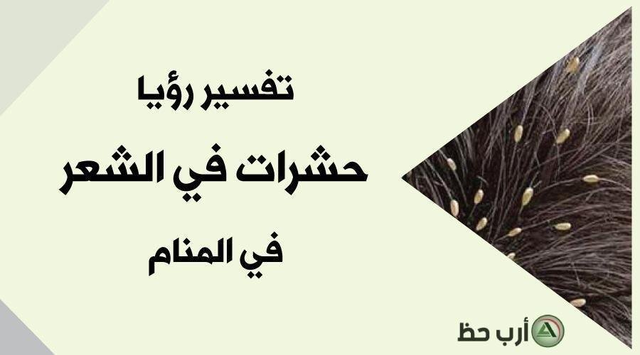 hair Insects.jpg6642cbd41360b.jpg688b80466e31b - تفسير حلم رؤية حشرات في الشعر: رموز خفية؟