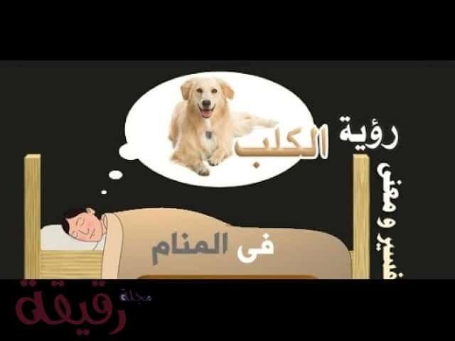hqdefault Small - تفسير حلم تحول كلب الى طفل: رمز المحبة أم الخطر؟