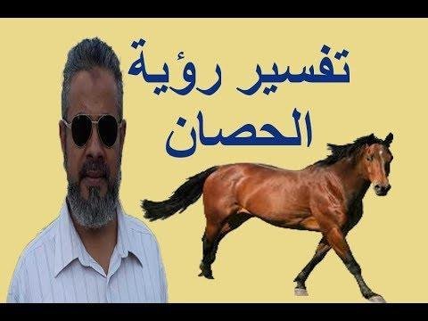 hqdefault.jpg6884f6de47c0c - تفسير حلم ركوب على حصان: أسرارٌ من عالم الأحلام