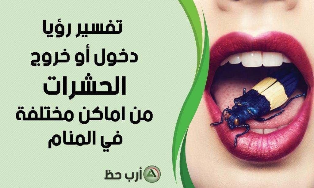 insects in dream in out 1024x614.jpg66459e958809c - تفسير حلم حشرات على رجلي للعزباء: رموز ودلالات خفية
