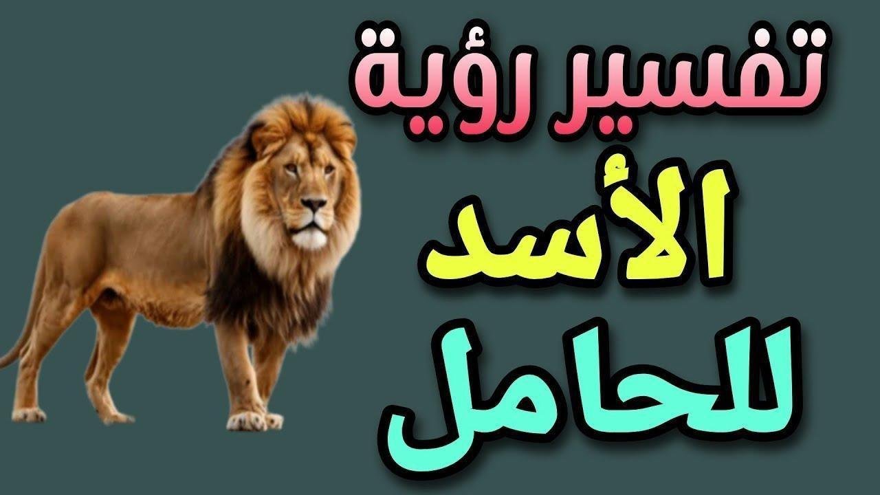 maxresdefault.jpg6642b90b901a0 - أسرار رؤية الأسد في منام الحامل: ماذا تحمل؟