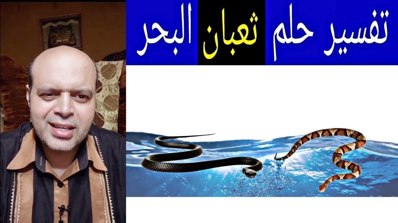 maxresdefault.jpg664b49eb6ff60 - تفسير حلم ثعبان البحر يهاجمني: رموز من الأعماق