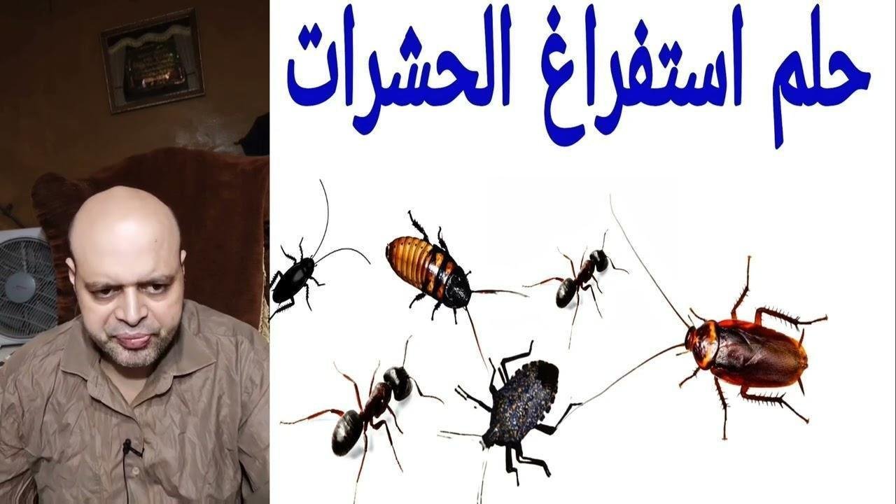 maxresdefault.jpg664d573f05979 - تفسير حلم استفراغ حشرات: رسائل خفية للعزباء؟