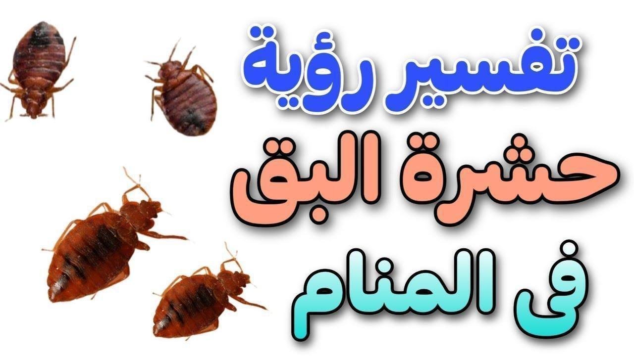 maxresdefault.jpg6650aa79f0dd4.jpg687fc5ef72993 - تفسير حلم سقوط حشرات من الشعر: رموز خفية تكشفها الأحلام