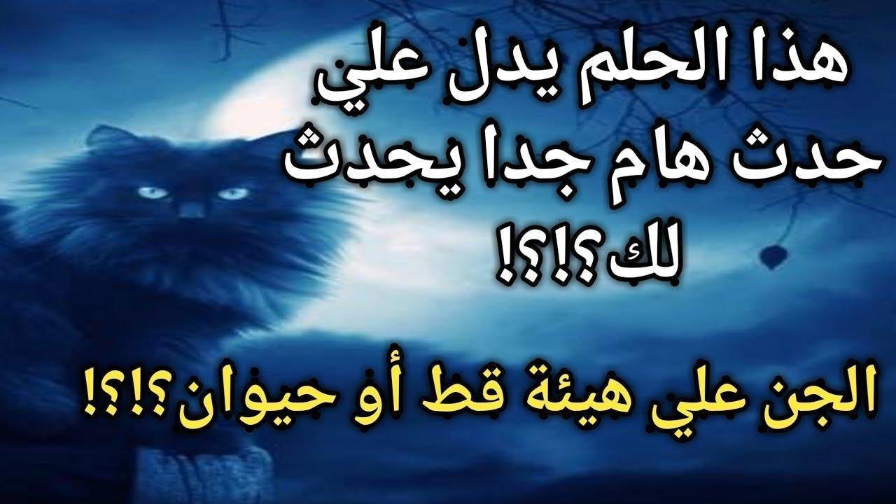 maxresdefault.jpg66590c6391a6a - تفسير حلم قطة في فراشي للمتزوجة: رموز ودلالات غامضة