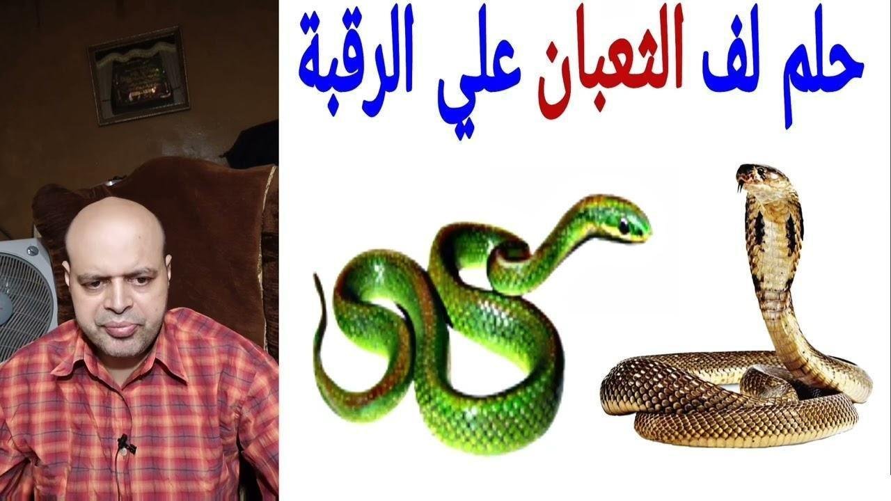 maxresdefault.jpg66628cd90ef0e - تفسير حلم مسك ثعبان باليد: رموز خفية تكشفها