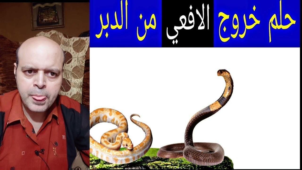 maxresdefault.jpg666353ddcef17.jpg68863c2c2520b - تفسير حلم خروج ثعبان من الفرج: رموز ودلالات غامضة
