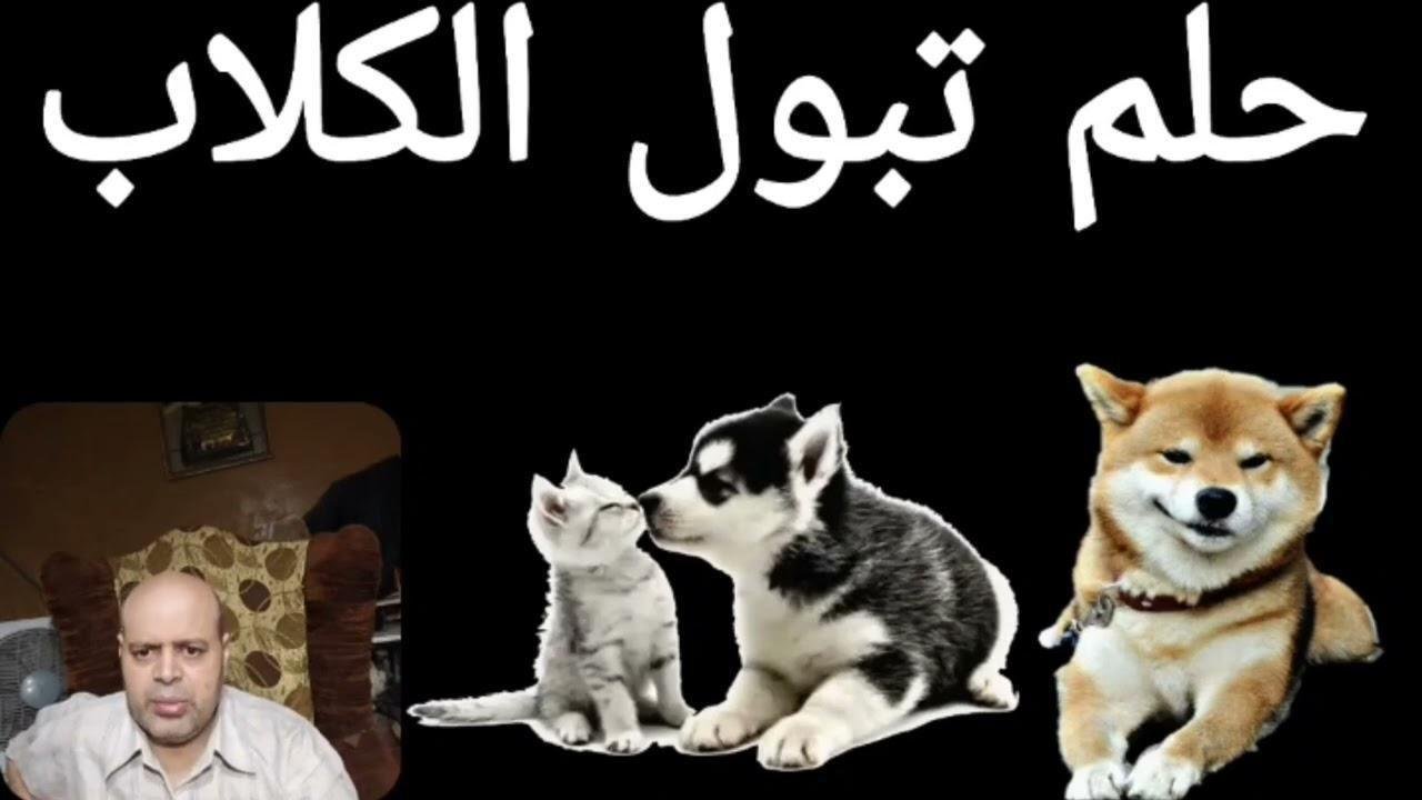 maxresdefault.jpg66758ce70caca - تفسير حلم تبول كلب عليك: رسائل خفية؟