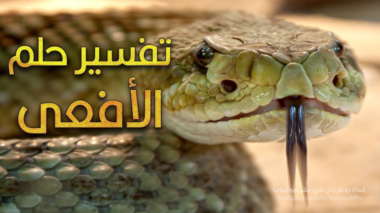 maxresdefault.jpg66cb05e9b8e15 - تفسير حلم هدية أفعى: لغز في عالم الأحلام