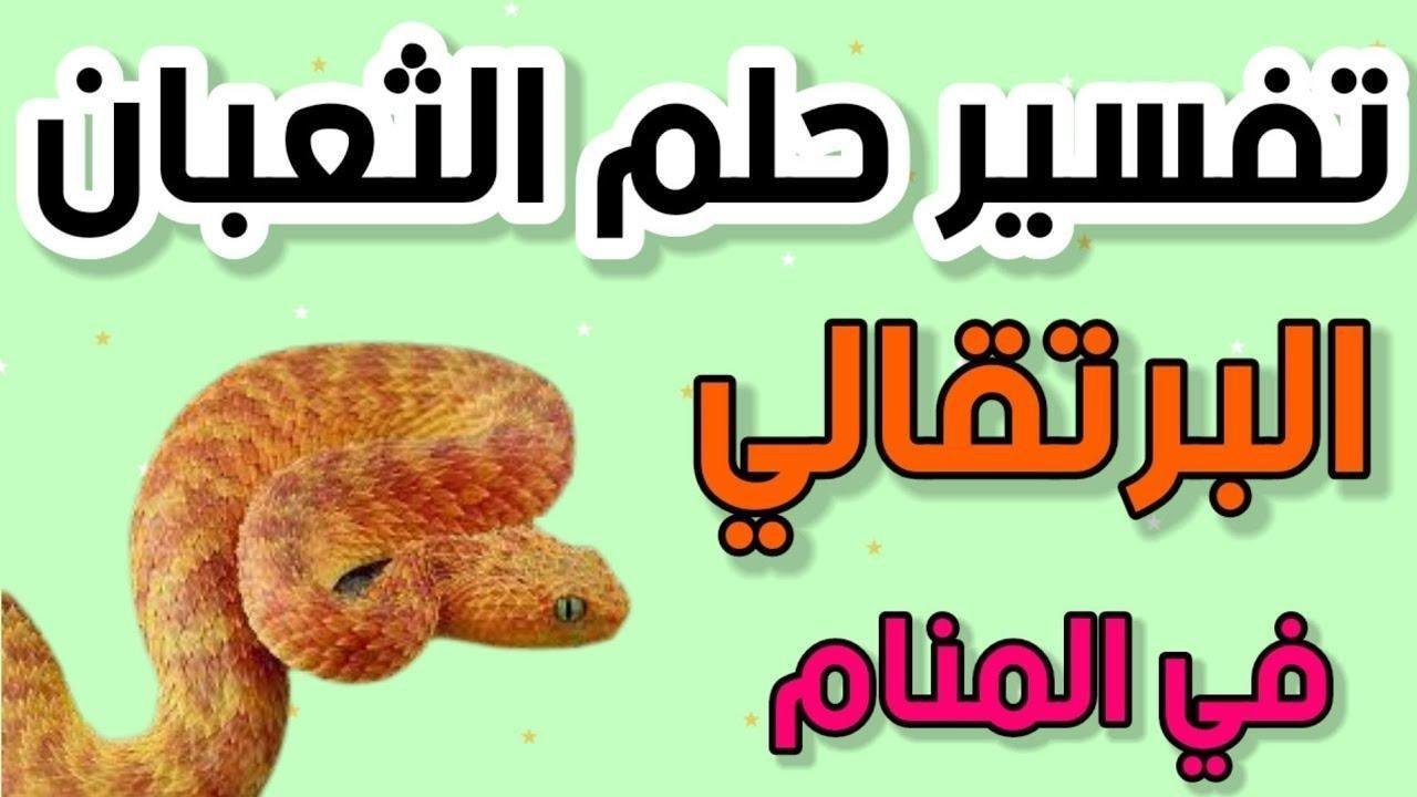 تفسير حلم أفعى برتقالية: رسائل خفية للعزباء؟ maxresdefault.jpg66e96e5a8502f - تفسير حلم أفعى برتقالية: رسائل خفية للعزباء؟