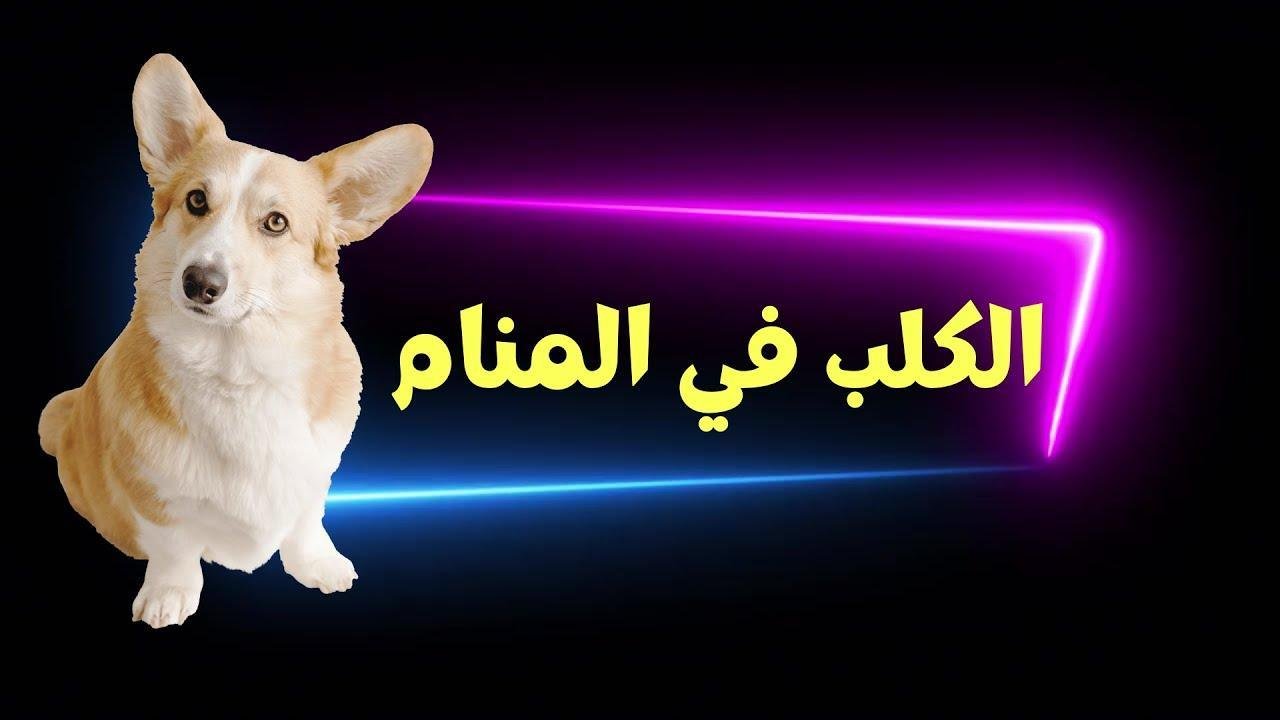 maxresdefault.jpg68800fdbe0b69 - تفسير حلم تحول كلب الى طفل: رمز المحبة أم الخطر؟