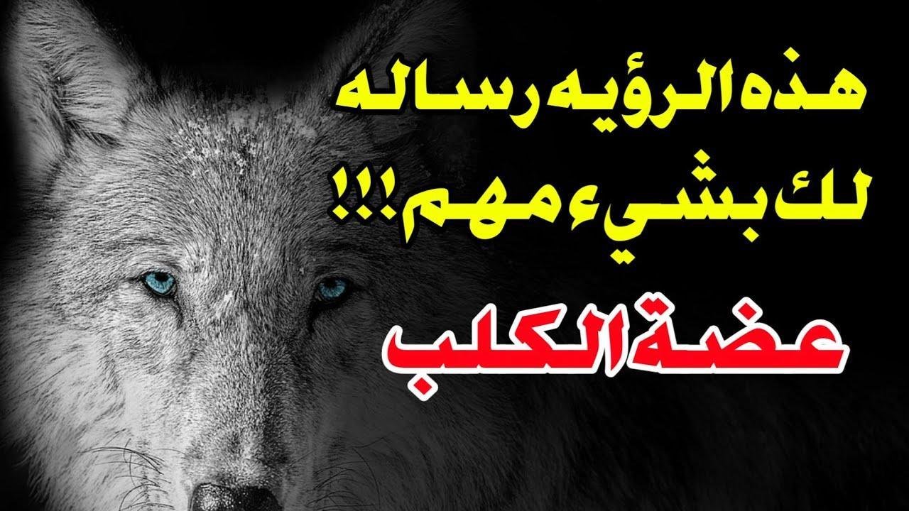 maxresdefault.jpg68809c8e109fc - تفسير حلم كلاب بيضاء تعضني: رمز أم رسالة؟