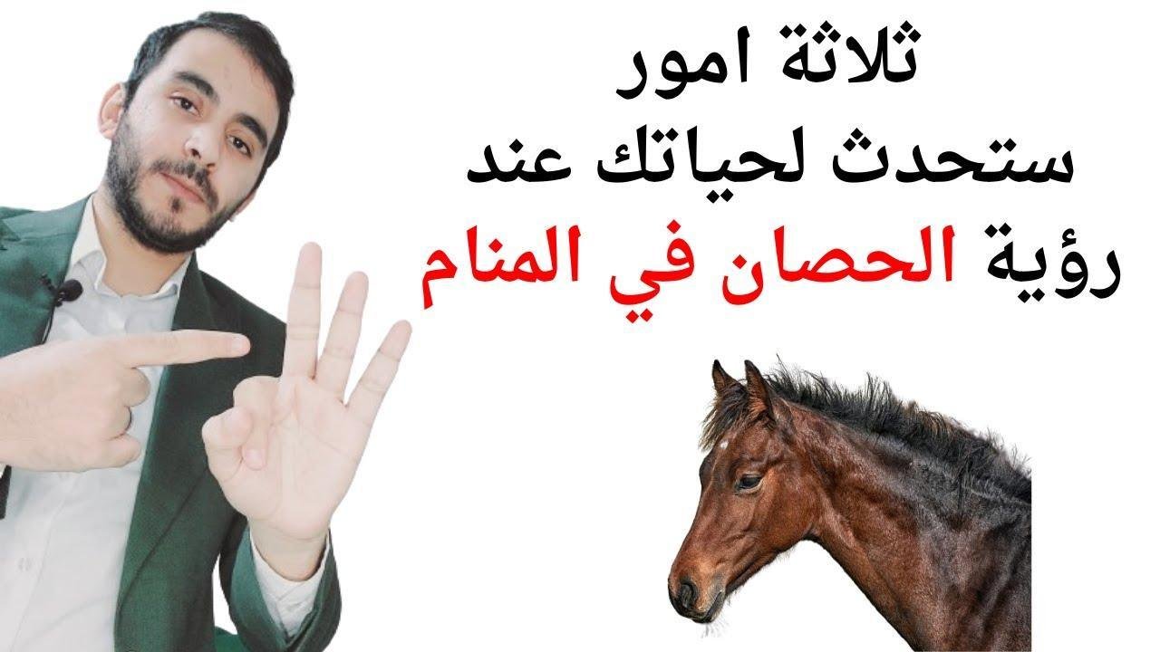maxresdefault.jpg6887dd68bc298 - تفسير حلم حصان بني للمتزوجة: رموز وأسرار