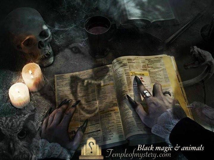 pic 28.jpg688ae4469c05e - تفسير حلم افعى في الماء: رموز خفية تنبض بالحياة