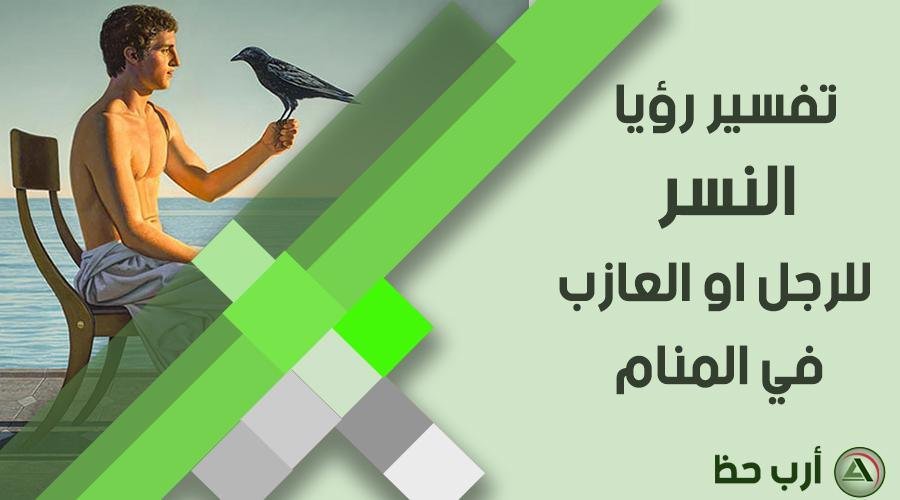 raven in dream man - تفسير حلم كلاب تهاجمني وشخص يُنقذني: هل هو نذير أم بشارة؟