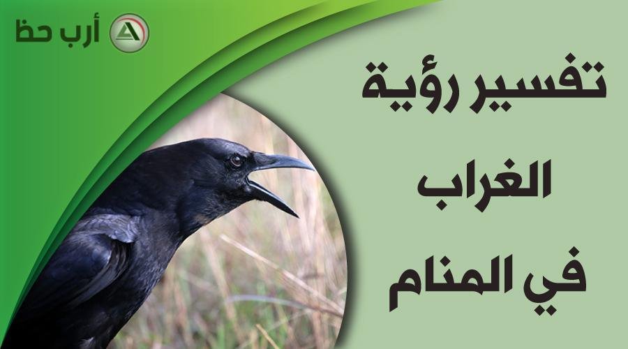 raven in dream.jpg688beba112e8a - تفسير حلم كلاب تهاجمني وشخص يُنقذني: هل هو نذير أم بشارة؟