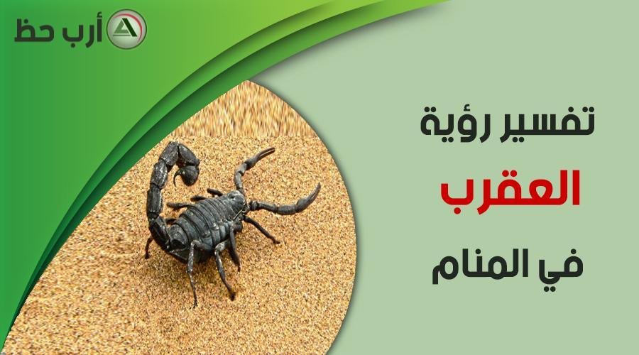 scorpion in dream - تفسير حلم ثعبان وعقرب: رموز ملتوية في المنام