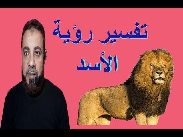 sddefault - الأسد الوديع في منامك: ماذا يعني؟