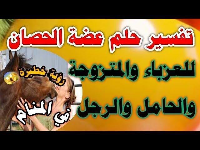 sddefault.jpg6638742d2bdbe.jpg68815e0808fad - تفسير حلم حصان يعضني للمتزوجة: رموز خفية؟