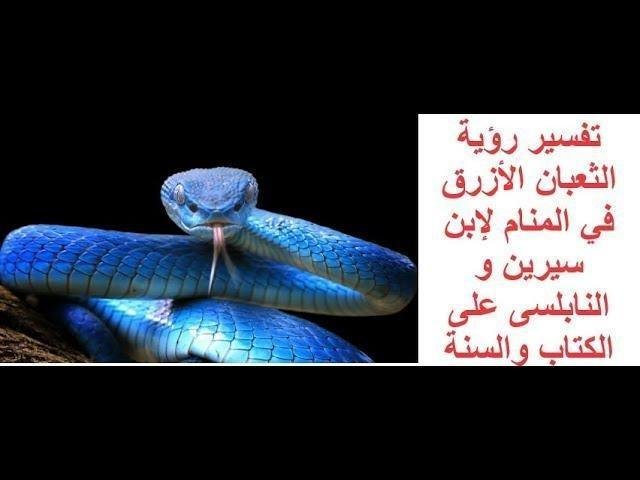 sddefault.jpg663943add5dbf - تفسير حلم ثعبان قرصني في يدي: رموز خفية؟