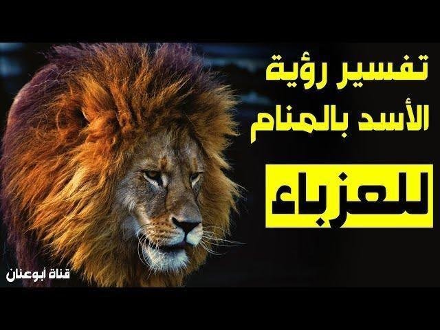 sddefault.jpg663efb00dab62 - جمال الأسد في المنام: أسرار وتأويلات