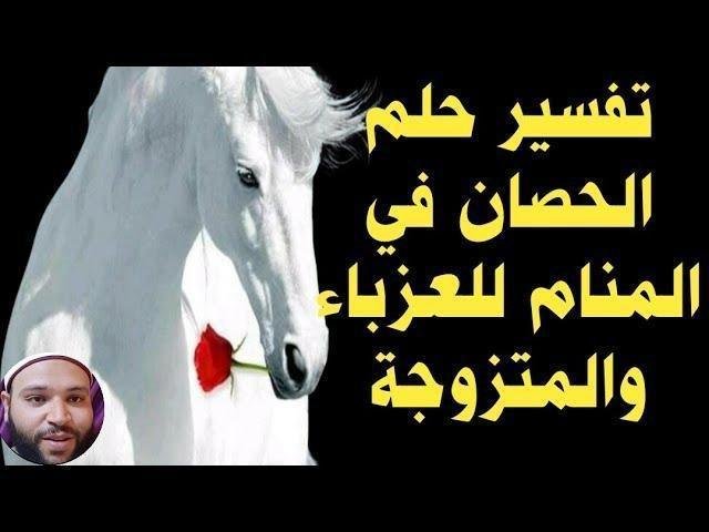 sddefault.jpg6649d47109285 - تفسير حلم رؤية حصان كبير للعزباء: دلالات ورموز خفية