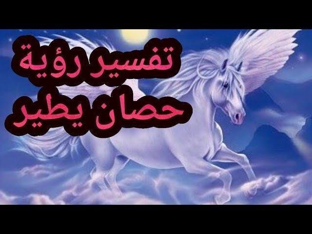 sddefault.jpg664a3da68b7c2.jpg6882a84478083 - تفسير حلم حصان في السماء للعزباء: رسائل خفية؟