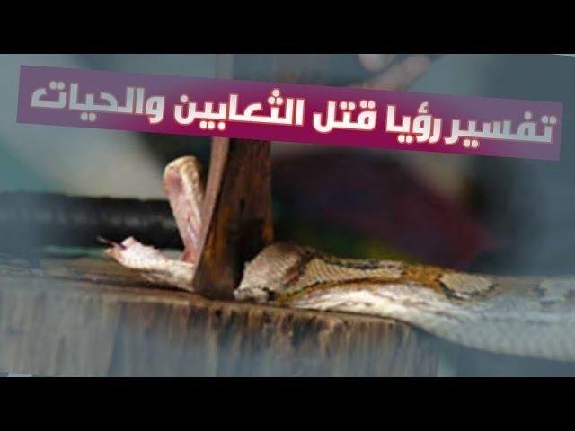 sddefault.jpg66ea1db86d760 - تفسير حلم ثعبان رأسه مقطوع: رموز ودلالات