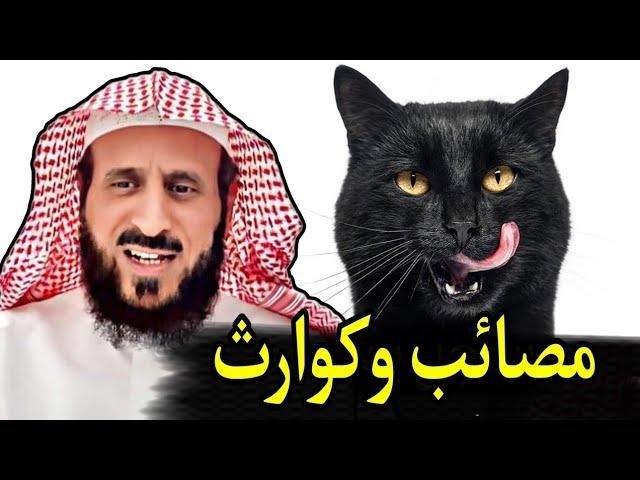 sddefault.jpg6879a3b37c130 - تفسير حلم هجوم قطة سوداء: أسرار من وراء الظلام