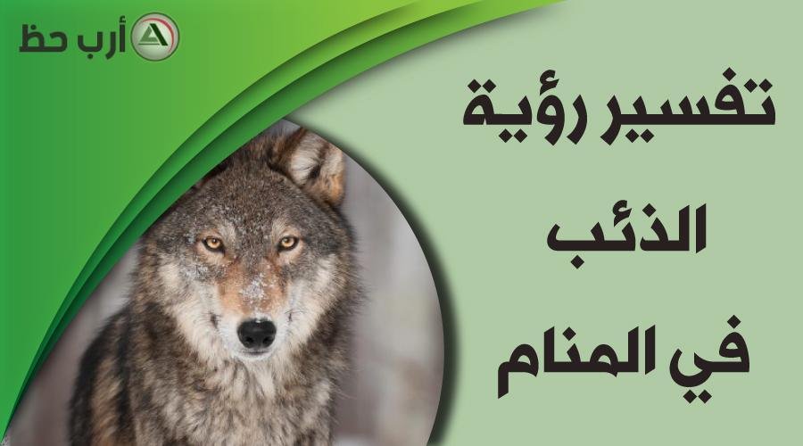 wolf in dream - تفسير حلم عضني كلب ثم قتله: رمزية النجاة والانتصار