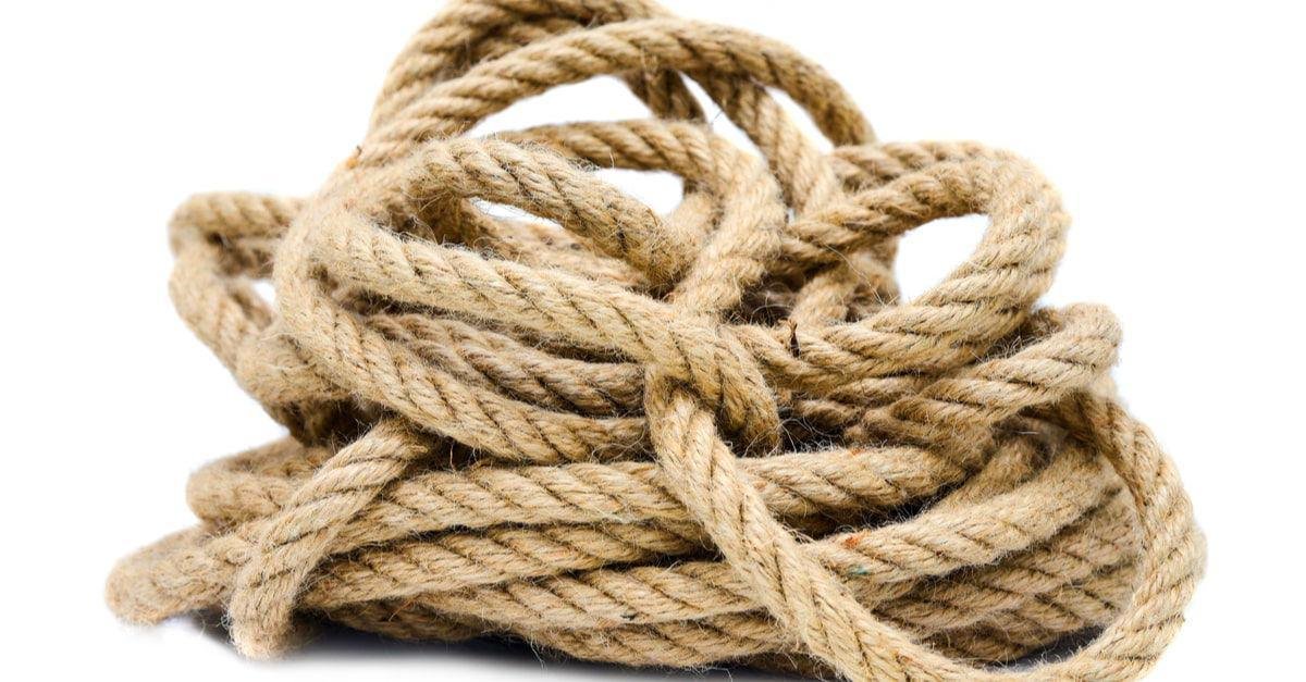 xpwsxrfbmxx76 article - تفسير حلم كلب يعض خصيتي: رمز مخفي؟