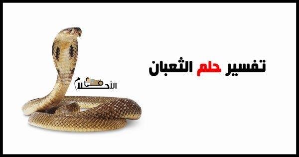 تفسير حلم كلب يعض ثعبان: رموز الخير والشر؟ 25D8 25AA 25D9 2581 25D8 25B3 25D9 258A 25D8 25B1 25D8 25AD 25D9 2584 25D9 2585 25D8 25A7 25D9 2584 25D8 25AB 25D8 25B9 25D8 25A8 25D8 25A7 25D9 2586 25D8 25A8 25D8 25A3 25D9 2584 25D9 2588 25D8 25A7 25D9 2586 25D9 2587 - تفسير حلم كلب يعض ثعبان: رموز الخير والشر؟