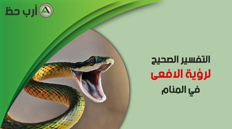 تفسير حلم قطة رأسها مقطوع: رؤيا صادمة، ماذا تعني؟ 25D8 25AD 25D9 2584 25D9 2585 25D8 25A7 25D9 2584 25D8 25A7 25D9 2581 25D8 25B9 25D9 2589.jpg66c9bf1884127 - تفسير حلم قطة رأسها مقطوع: رؤيا صادمة، ماذا تعني؟