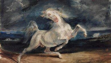 تفسير حلم حصان وجمال: رموز من عالم الأحلام