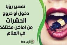 تفسير حلم خروج حشرات سوداء من الفم: رموز ودلالات غامضة