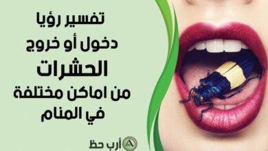 تفسير حلم خروج حشرات سوداء من الفم: رموز ودلالات غامضة