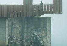 تفسير حلم كلب كبير في البيت: رموز ودلالات خفية