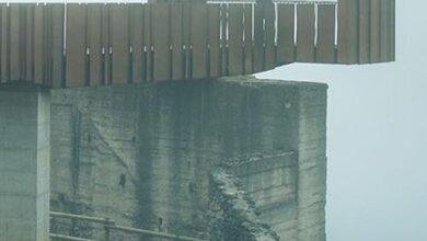 تفسير حلم كلب كبير في البيت: رموز ودلالات خفية