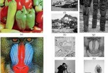 تفسير حلم ثعبان قطعت رأسه: رموز ودلالات