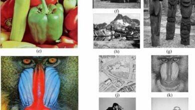 تفسير حلم ثعبان قطعت رأسه: رموز ودلالات