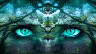 تفسير حلم الثعابين للمتزوجة: رموز خفية؟