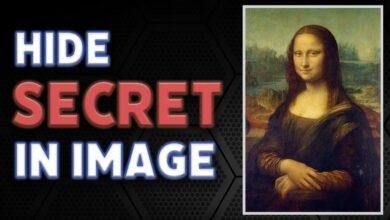 تفسير حلم ثعبان يلاحقني وانا خائف: هل هو نذير شؤم للرجل؟