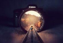 تفسير حلم قطة عمياء: رموز خفية في الظلام