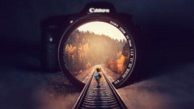 تفسير حلم قطة عمياء: رموز خفية في الظلام