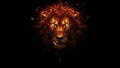 d985d8b7d8a7d8b1d8afd8a9-d8a7d984d8a3d8b3d8af-d981d98a-d8a7d984d985d986d8a7d985-d8b1d8b3d8a7d8a6d984-d8aed981d98ad8a9-d984d984d985d8aa.jpg مطاردة الأسد في المنام: رسائل خفية للمتزوجة